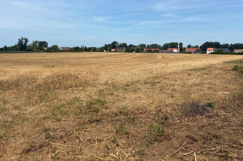 Terrain à bâtir à Villers-sur-Authie (80120)
