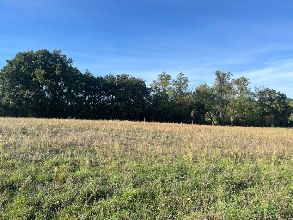 Terrain à bâtir à Marssac-sur-Tarn (81150)