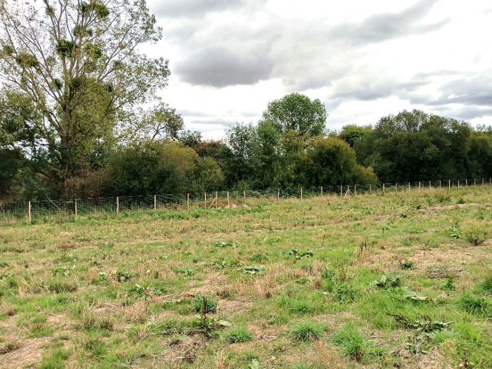 Terrain à bâtir à Saint-Laurent-sur-Sèvre (85290)