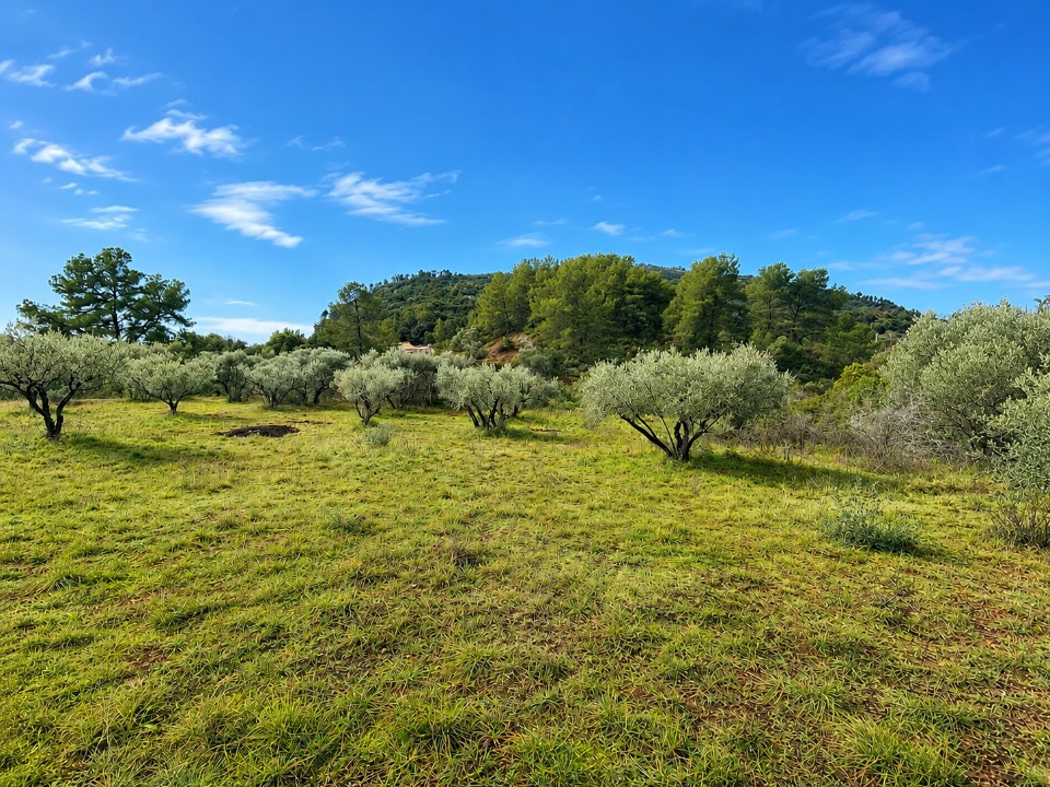 Terrain à bâtir à Gonfaron (83590)