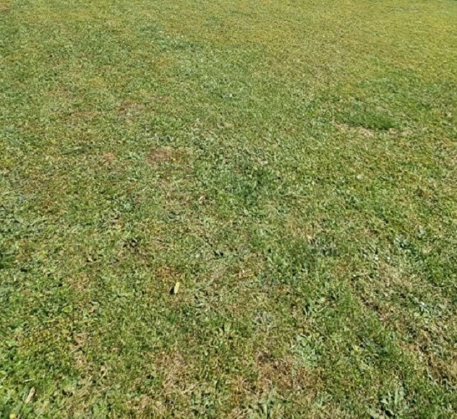 Terrain à bâtir à Marchémoret (77230)
