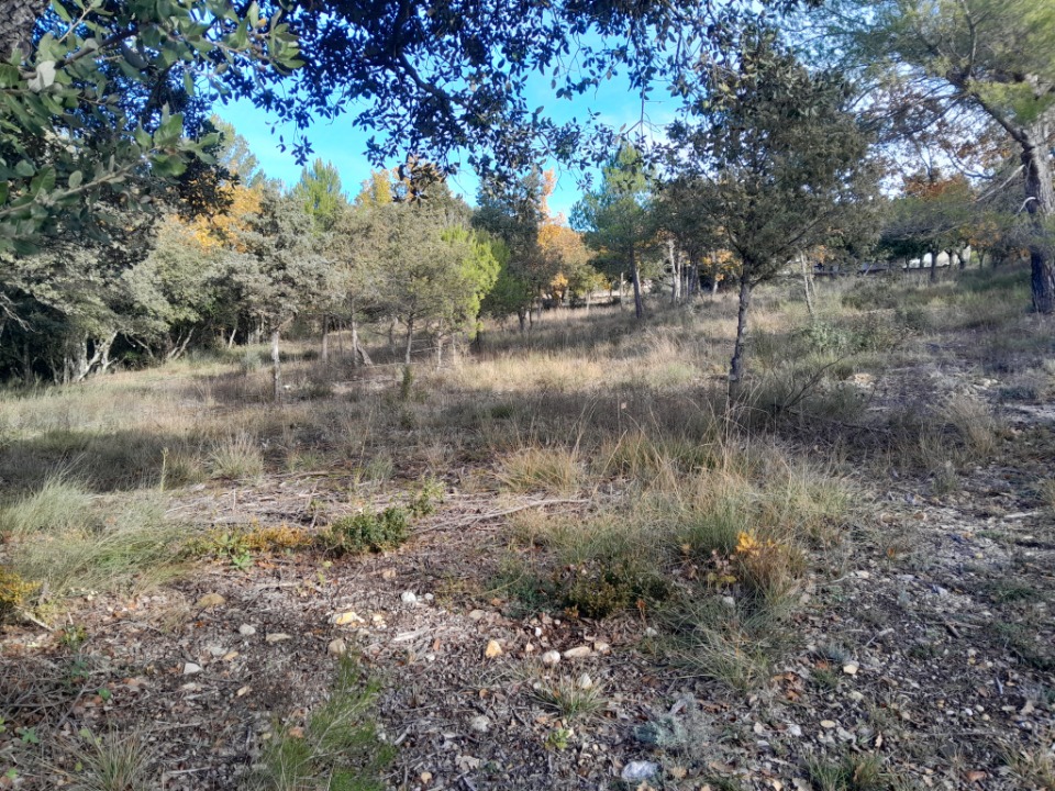 Terrain à bâtir à Artignosc-sur-Verdon (83630)