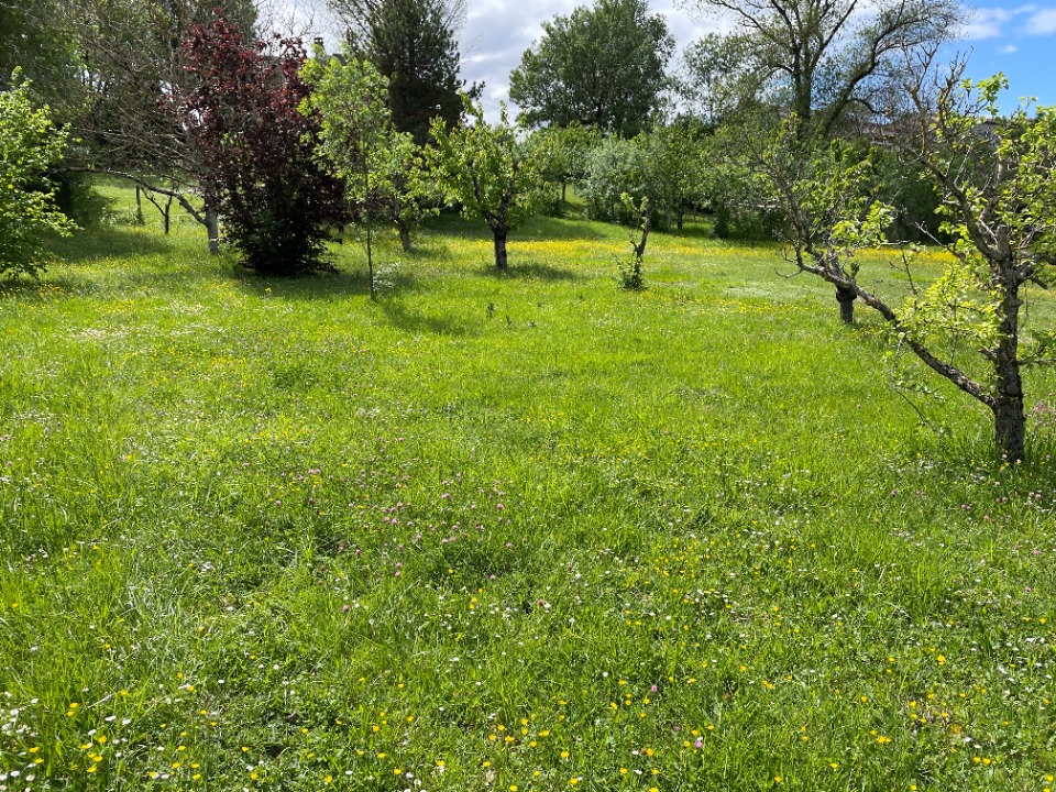 Terrain à bâtir à Navès (81710)