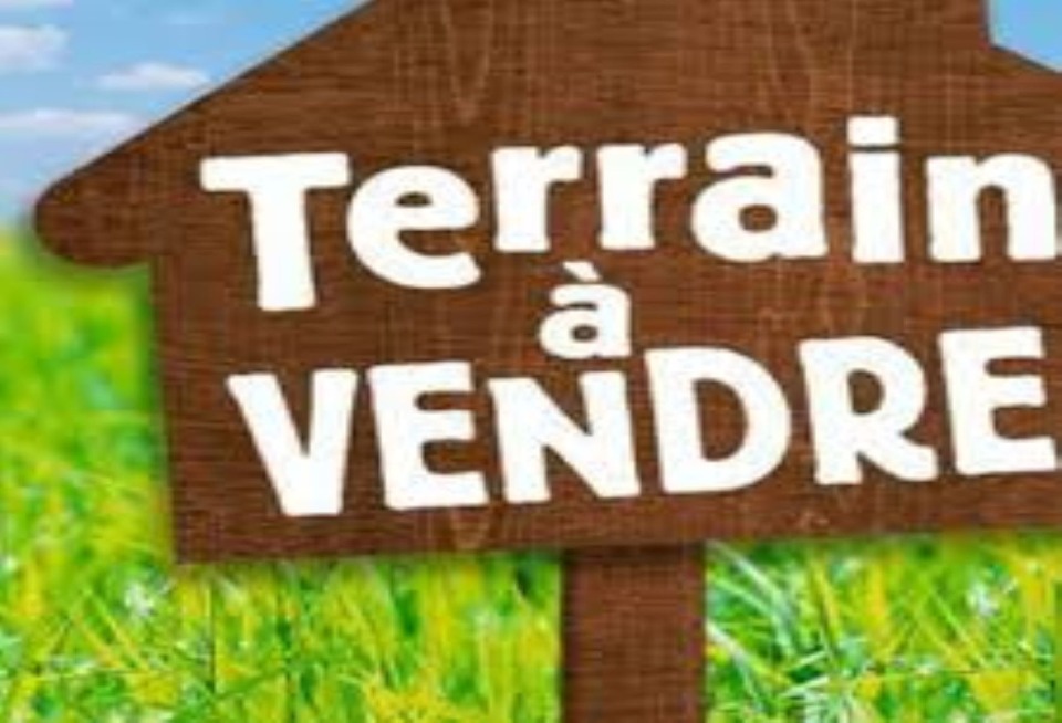 Terrain à bâtir à Quiberville (76860)