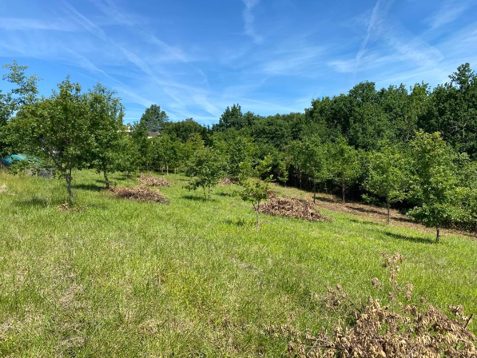 Terrain à bâtir à Léojac (82230)