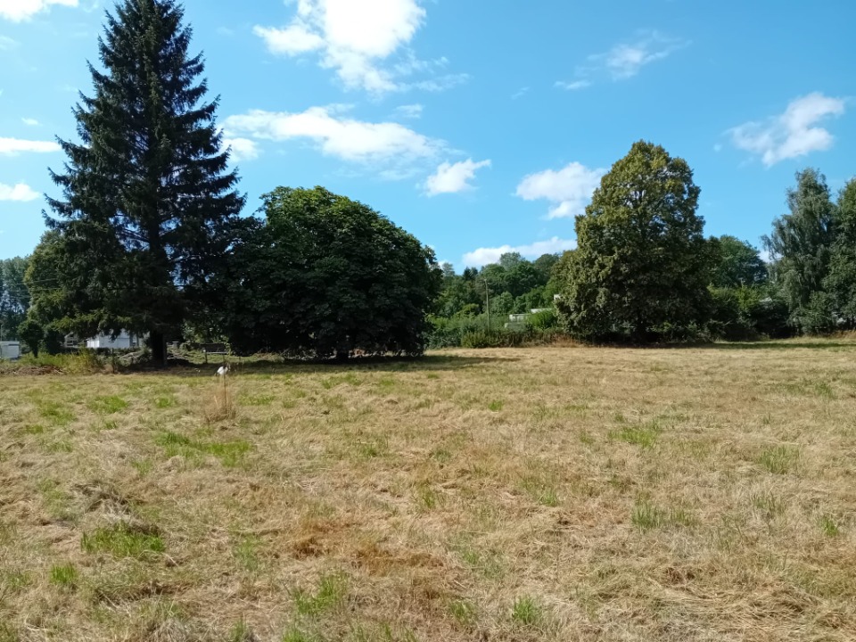 Terrain à bâtir à Domqueur (80620)