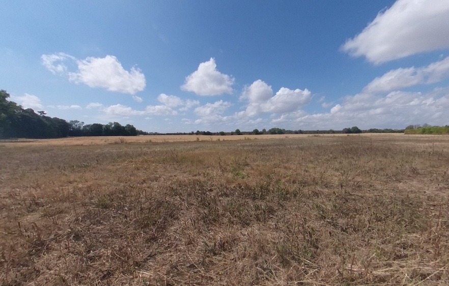Terrain à bâtir à Beaumont-du-Gâtinais (77890)