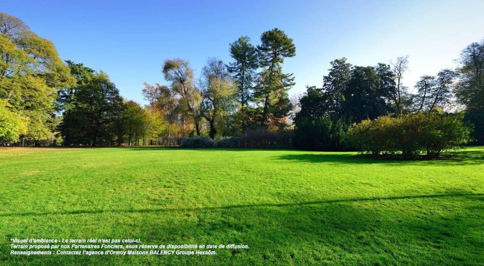 Terrain à bâtir à Oncy-sur-École (91490)