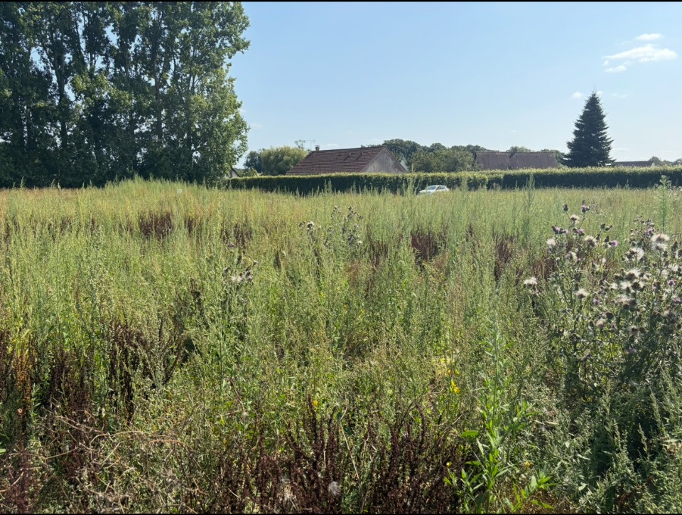 Terrain à bâtir à Villers-Écalles (76360)