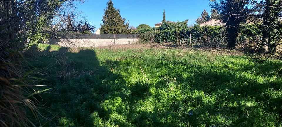 Terrain à bâtir à Caromb (84330)