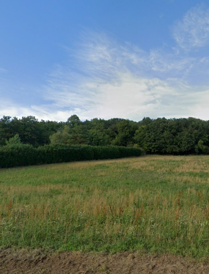 Terrain à bâtir à Saint-Sulpice-de-Favières (91910)