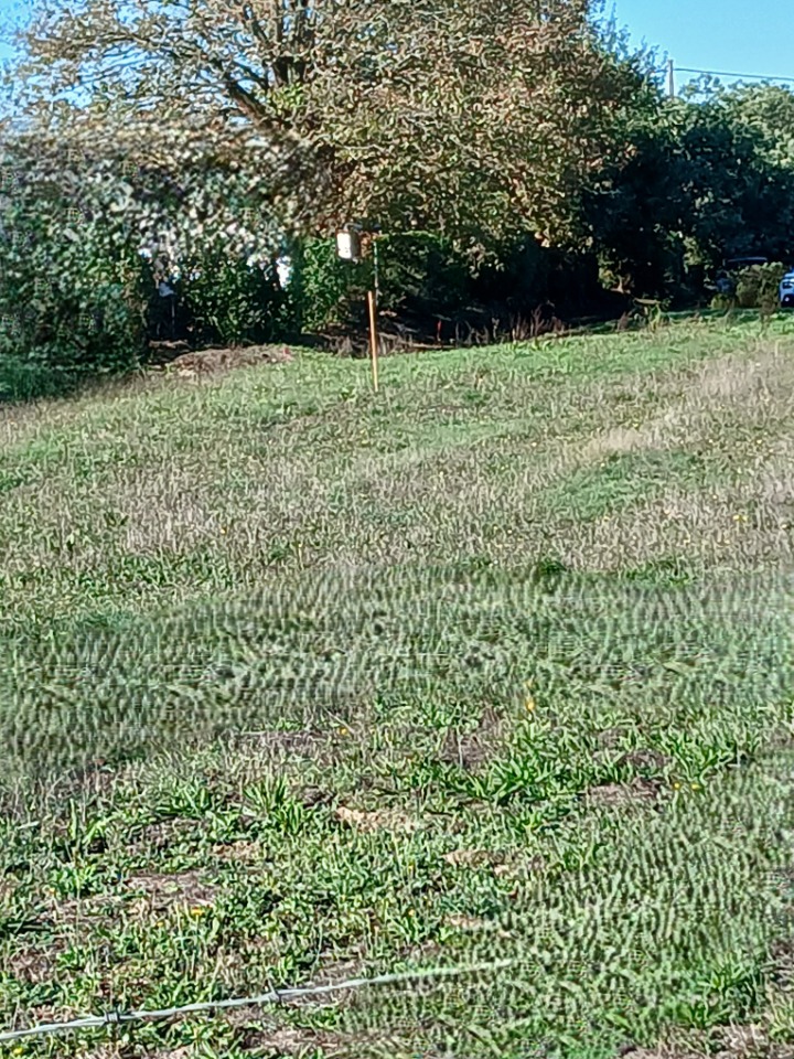 Terrain à bâtir à Saint-Mathurin (85150)