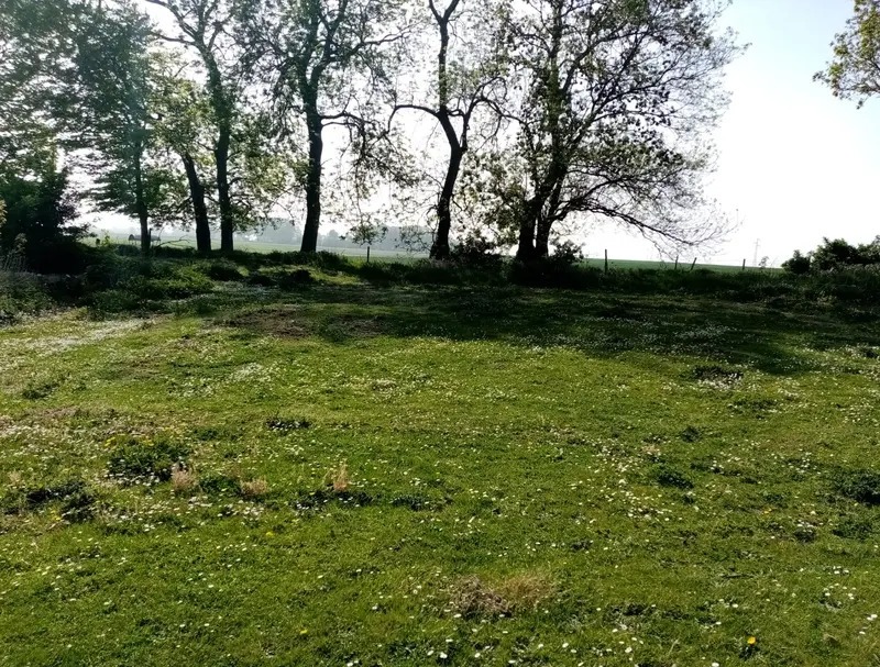 Terrain à bâtir à Écrainville (76110)