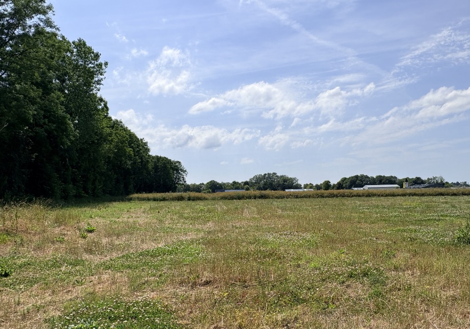 Terrain à bâtir à Freneuse (76410)