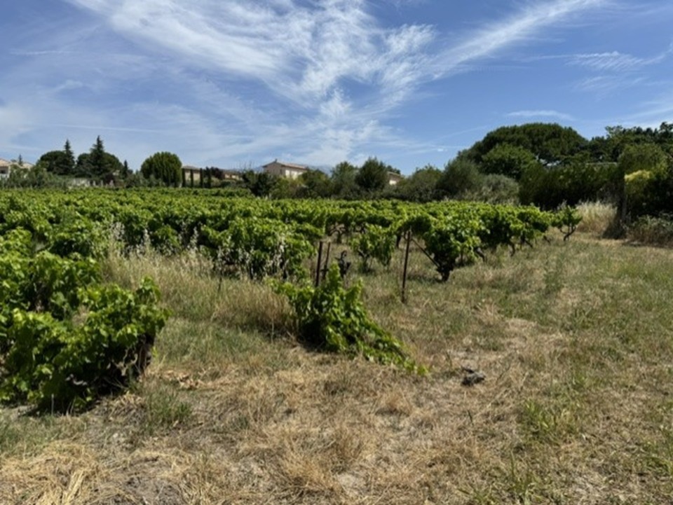 Terrain à bâtir à Mazan (84380)