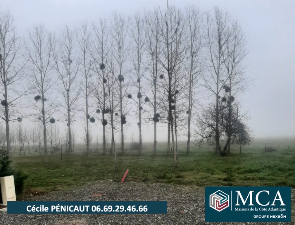 Programme immobilier neuf CP1842239 - Terrain/Terre - Goos