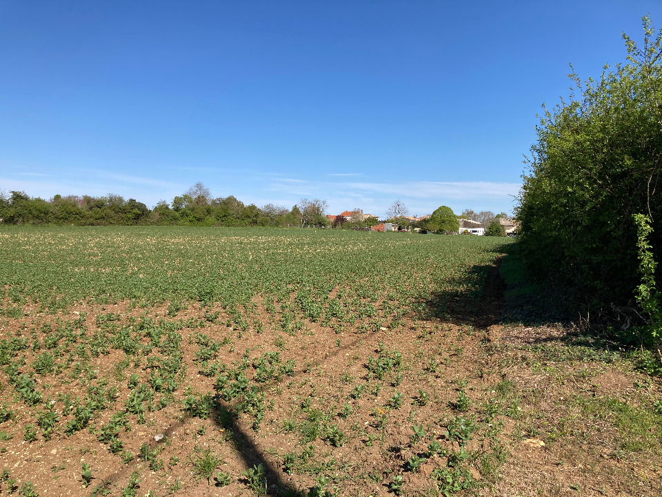 Programme immobilier neuf PO1869573 - Terrain/Terre - Champagnolles