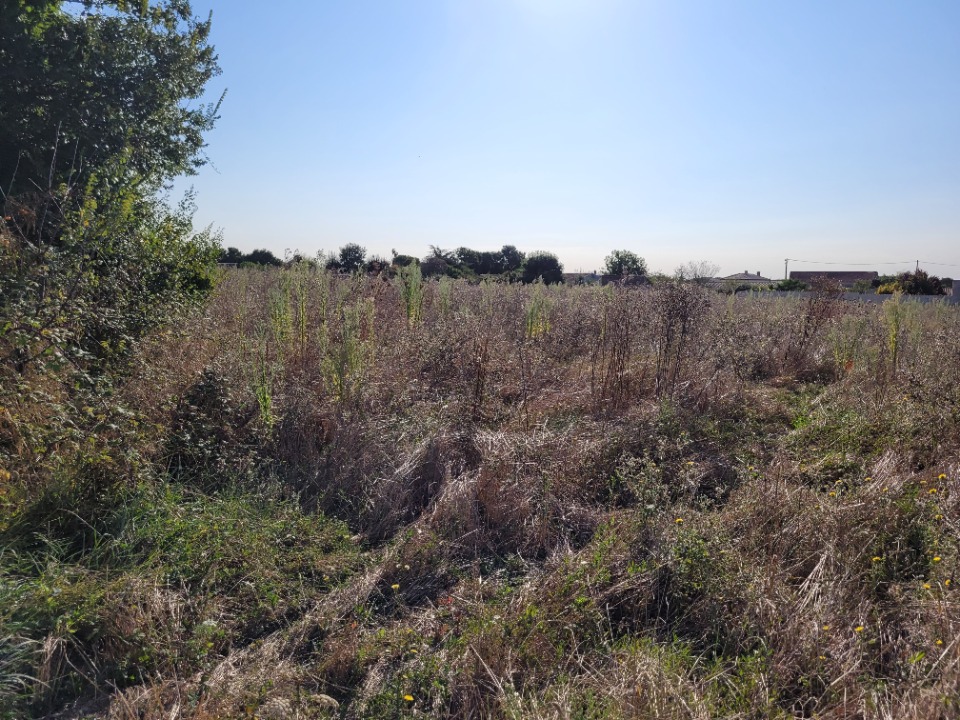 Programme immobilier neuf JT1934684 2 - Terrain et Maison à construire - Ardillières