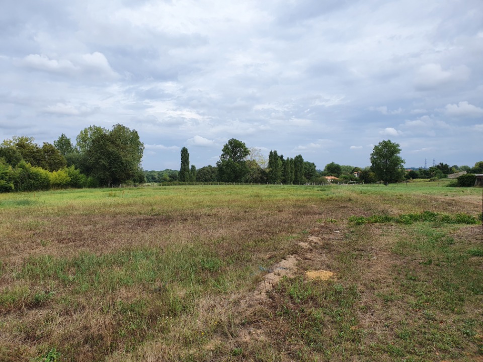 Programme immobilier neuf SPPU601 - Terrain/Terre - Pugnac