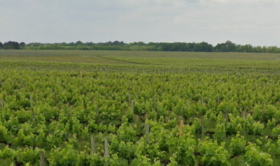 Programme immobilier neuf MH1992664 4 - Terrain et Maison à construire - Saint-Laurent-Médoc