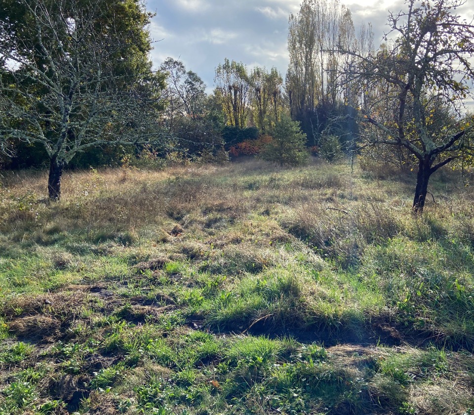 GA1994203 - Terrain/Terre - Le Taillan-Médoc