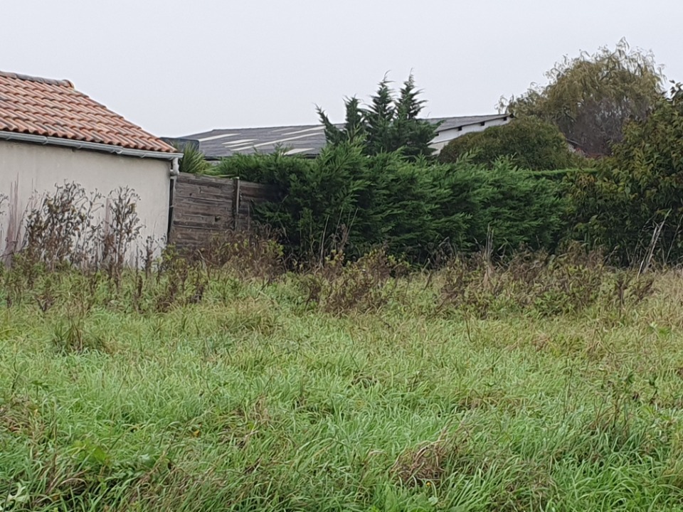 Programme immobilier neuf SPSTA631 - Terrain/Terre - Saint-André-de-Cubzac