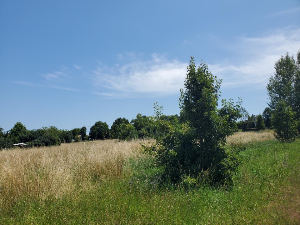 Programme immobilier neuf VBSTM-0 1 - Terrain et Maison à construire - Saint-Magne