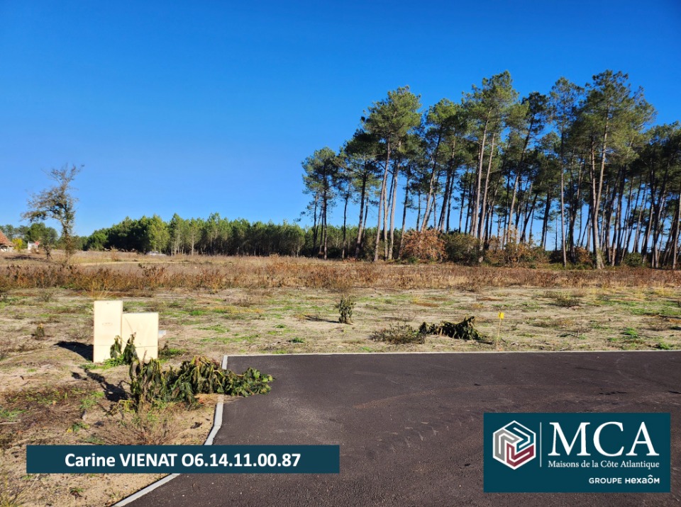 Programme immobilier neuf CV1998216 - Terrain/Terre - Pissos