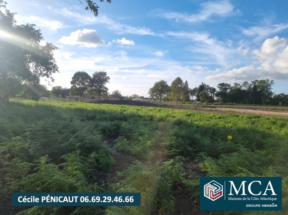 Programme immobilier neuf CP2002649 - Terrain/Terre - Laluque