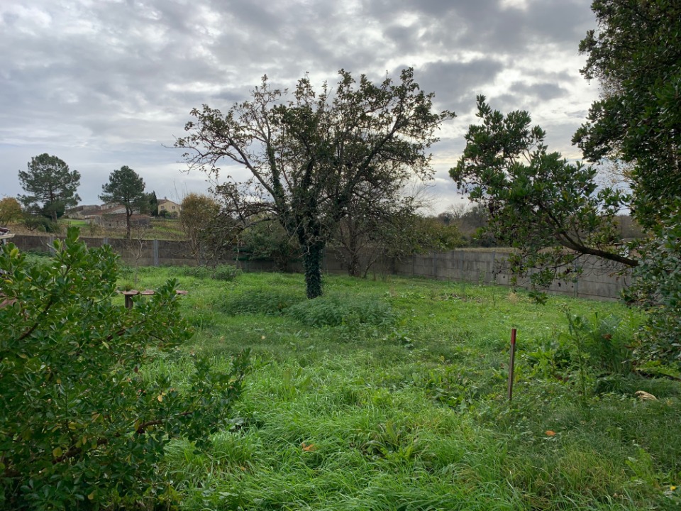 Photo CHB-PM2-1 - Terrain/Terre - Prignac-et-Marcamps image 1/4