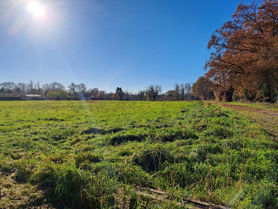 Programme immobilier neuf BD2021954 - Terrain/Terre - Saint-Pierre-d'Eyraud