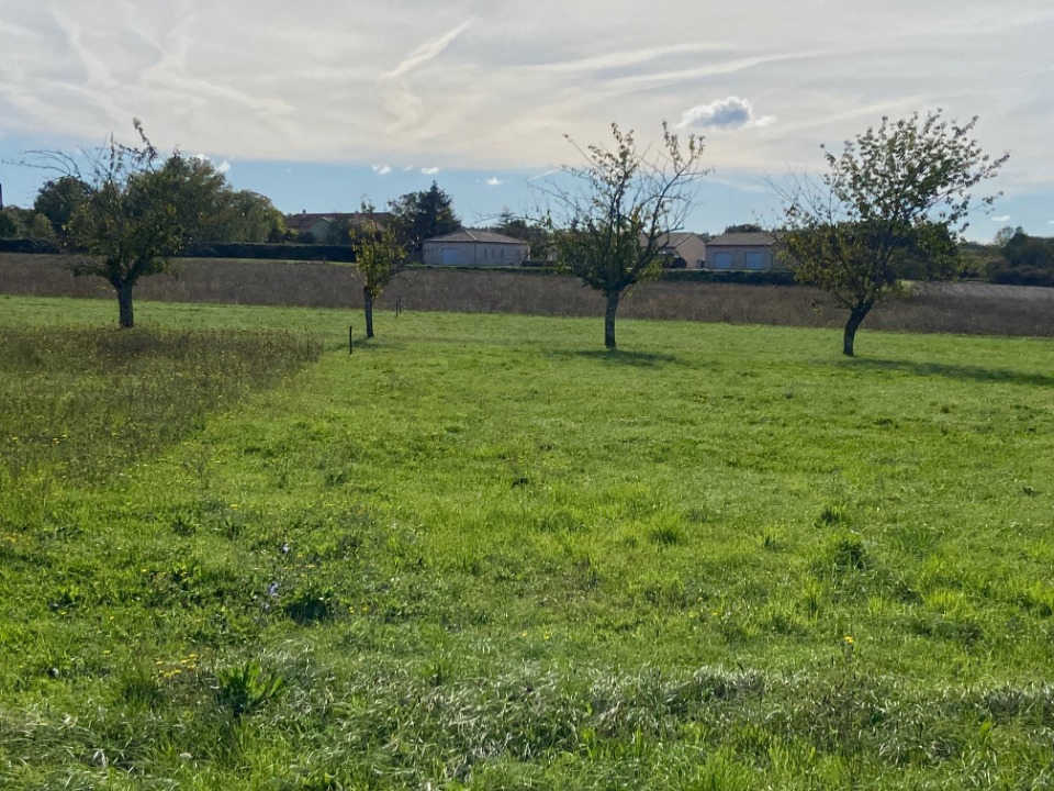 Programme immobilier neuf JT2026918 - Terrain/Terre - Ribagnac