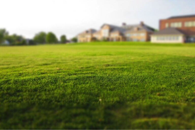 Très beau terrain à vendre viabilisé disponible à Champigny-sur-Marne