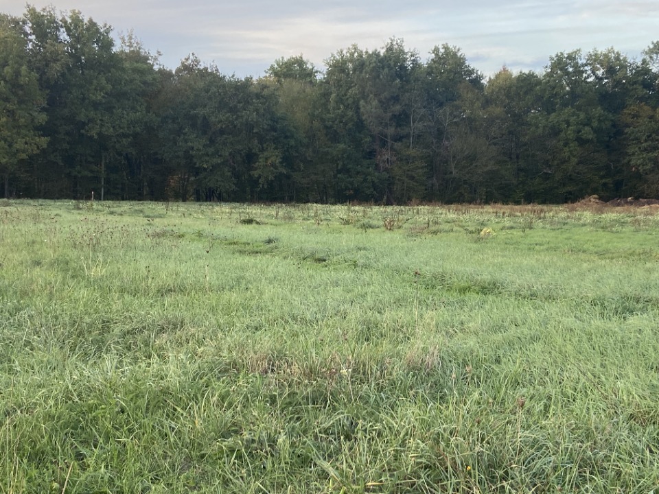 Programme immobilier neuf JT2081536 - Terrain/Terre - Lunas