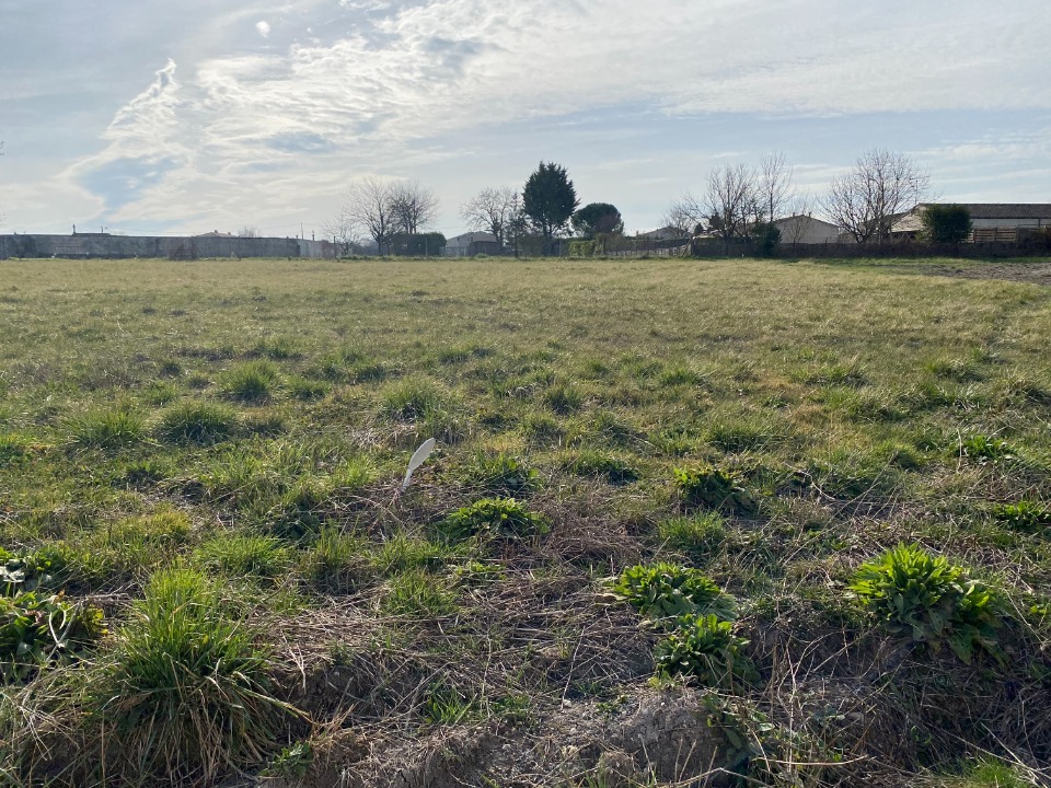 Programme immobilier neuf CR2088518 - Terrain/Terre - Thénac