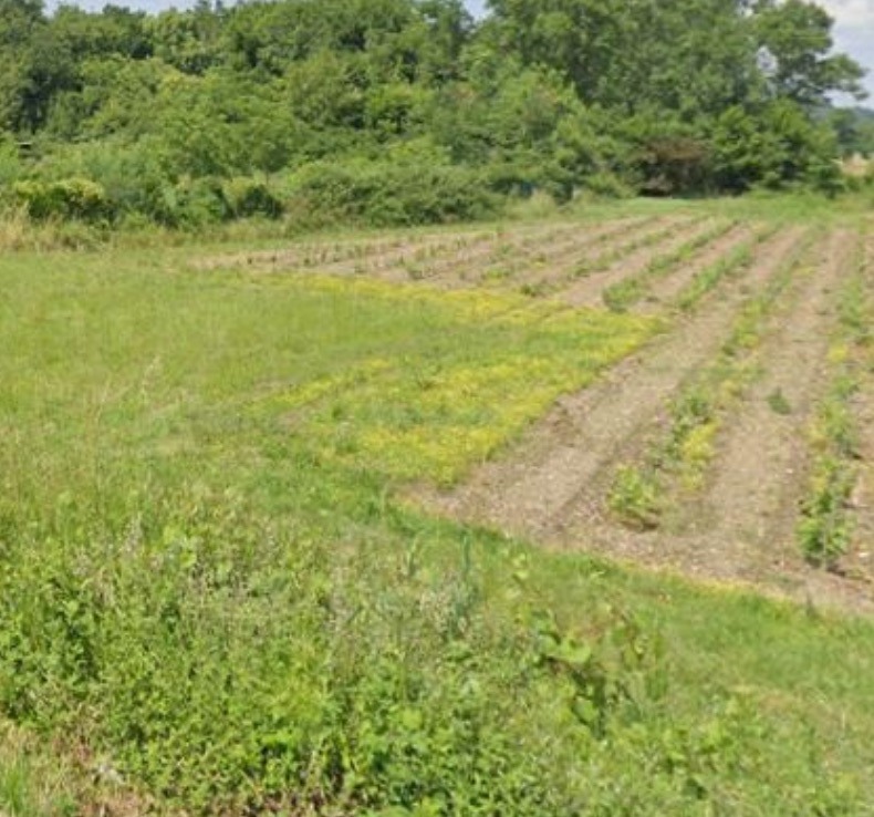 Programme immobilier neuf PA2098291 - Terrain/Terre - Portets