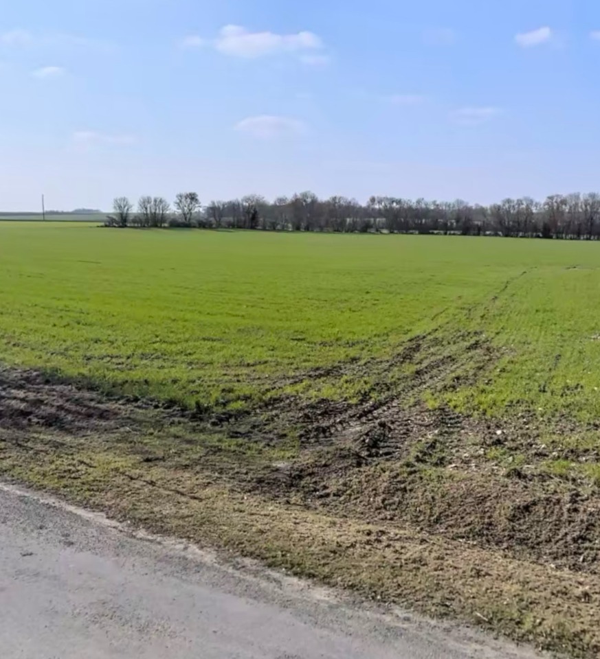 Programme immobilier neuf CR2099129 - Terrain/Terre - Bouhet