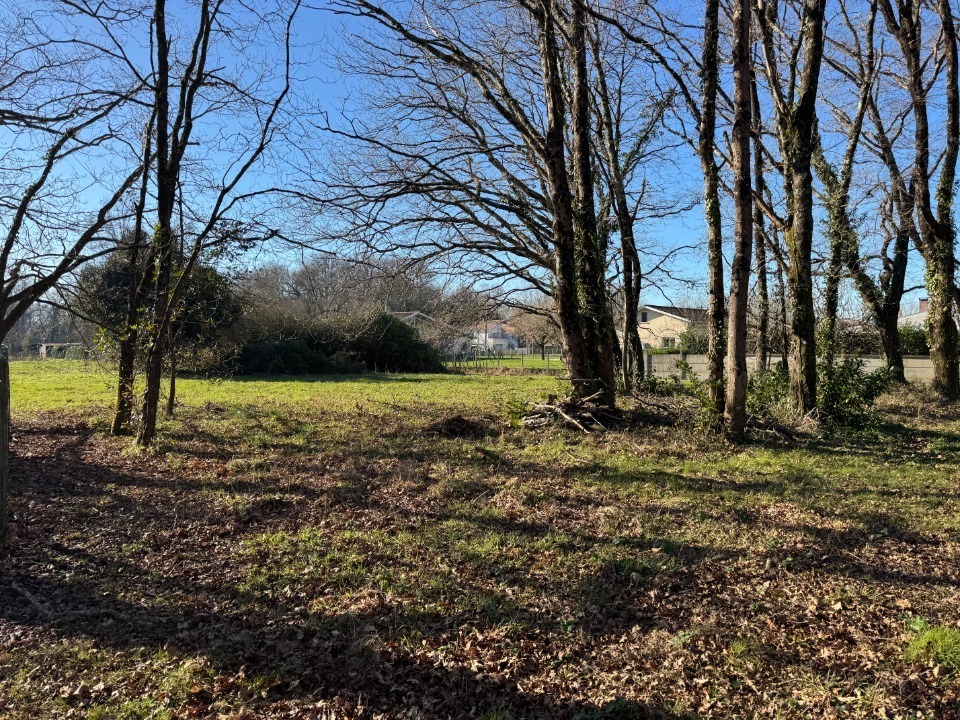 Programme immobilier neuf AB2101452 - Terrain/Terre - Lesparre-Médoc