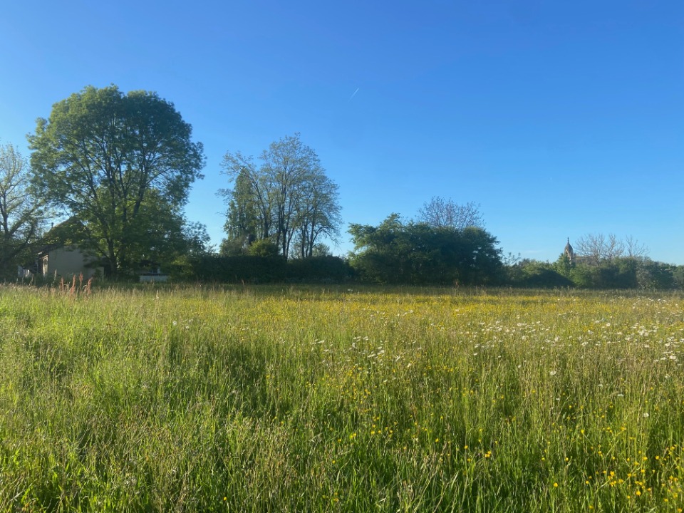 Programme immobilier neuf JT2103142 - Terrain/Terre - Faux