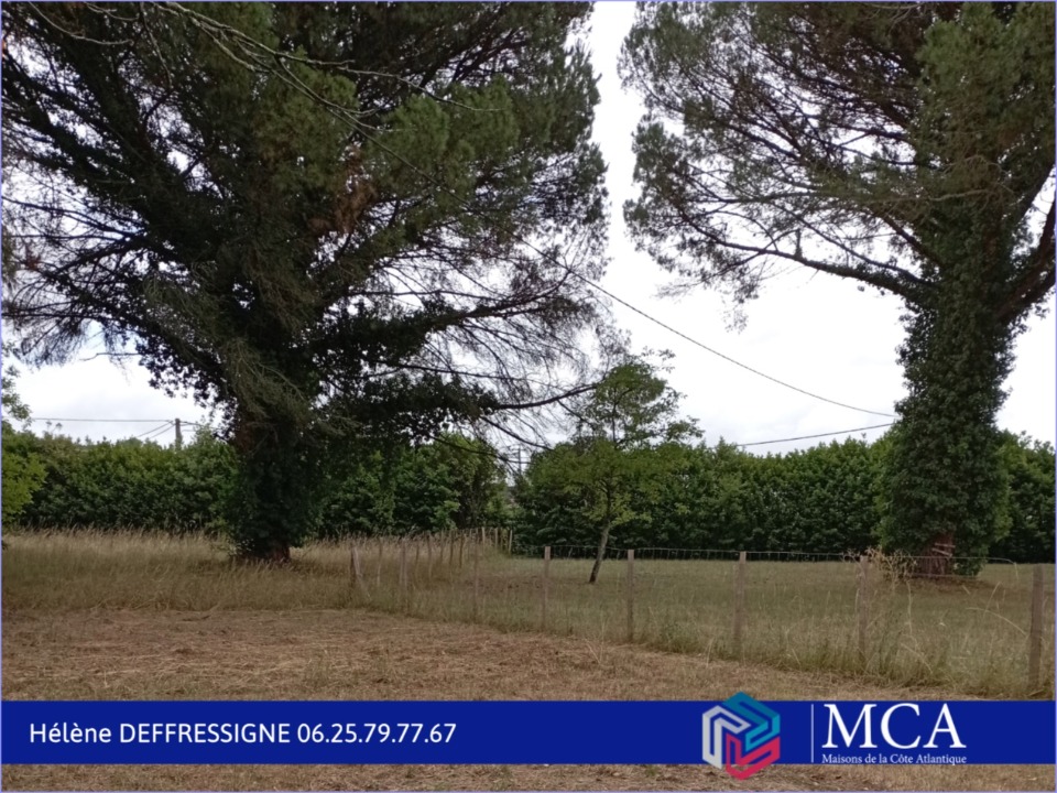Photo HD2103579 - Terrain/Terre - Saint-Maixant image 1/1