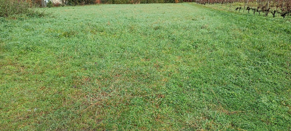 Programme immobilier neuf DBLUG-3-1 - Terrain/Terre - Lugon-et-l'Île-du-Carnay