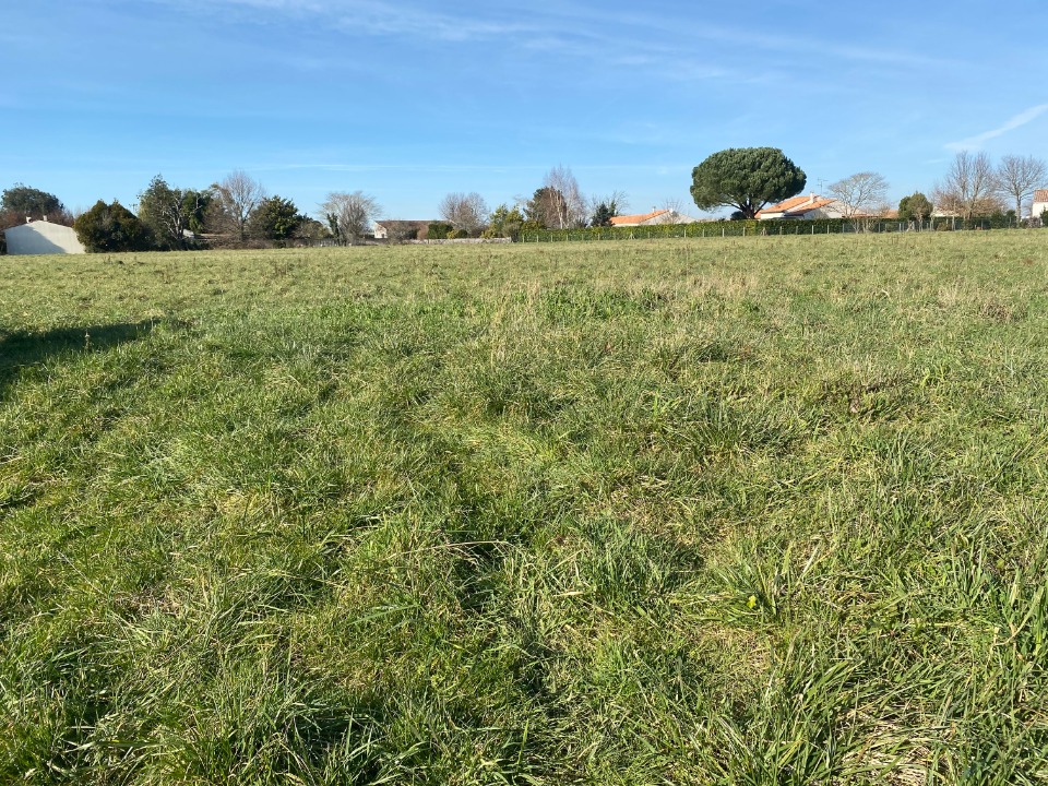 Programme immobilier neuf CR2108344 - Terrain/Terre - Corme-Royal