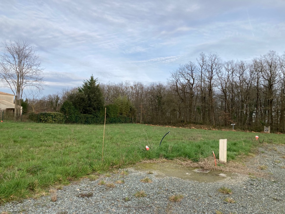 Programme immobilier neuf PO2111999 1 - Terrain et Maison à construire - Taillebourg