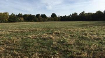 Terrain constructible 800