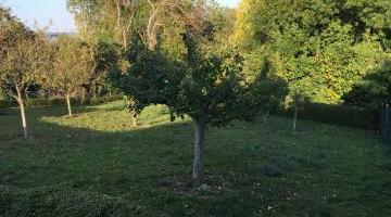 Terrain constructible 1000