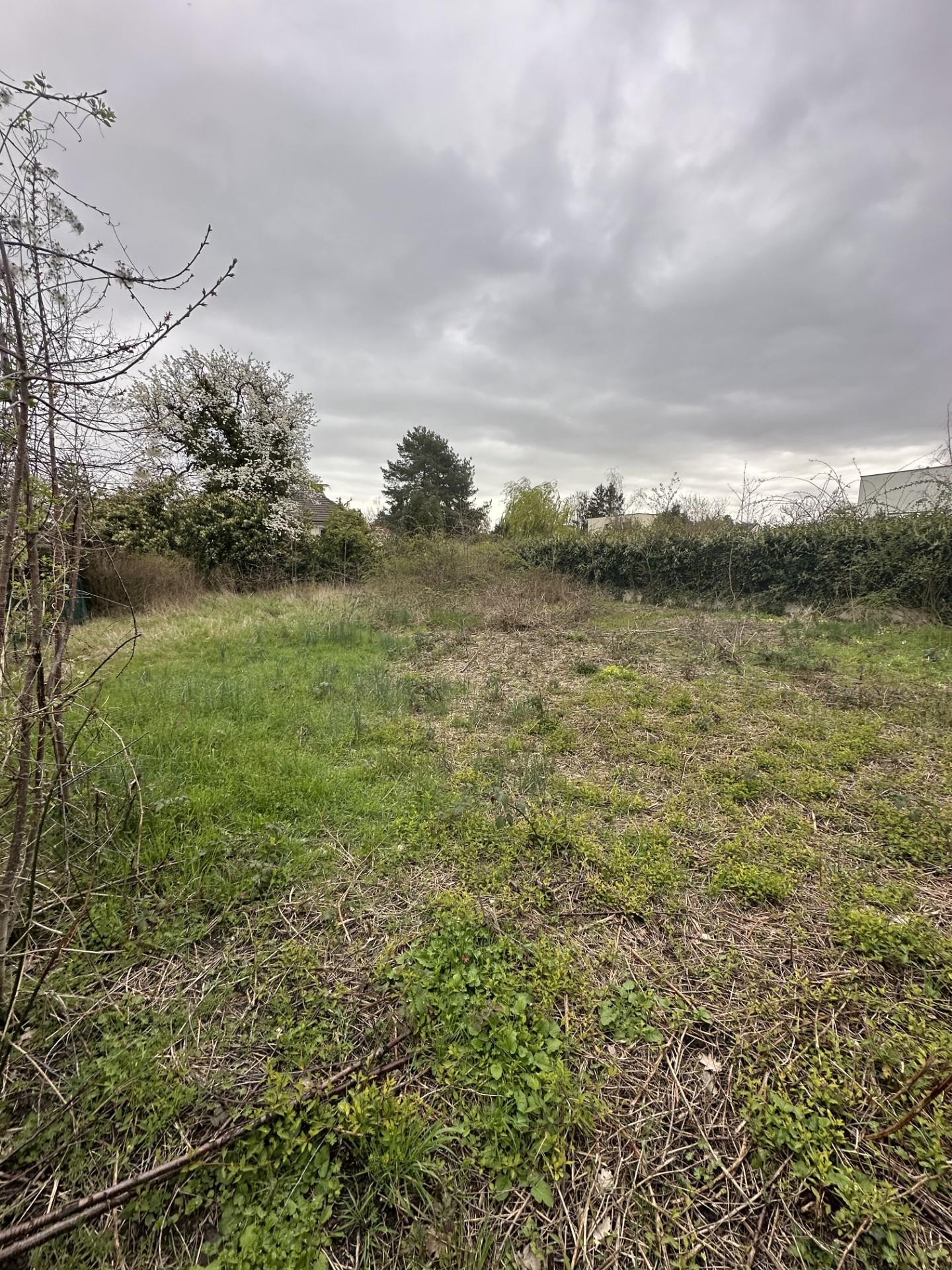 Photo maison Terrain de 417 m² + maison