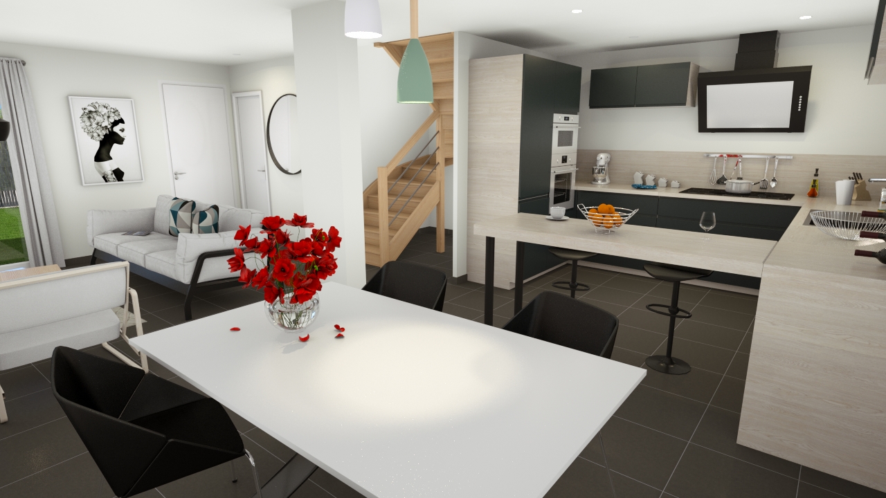 vente Terrain et Maison à construire Saint-Romain-de-Jalionas (38) 2