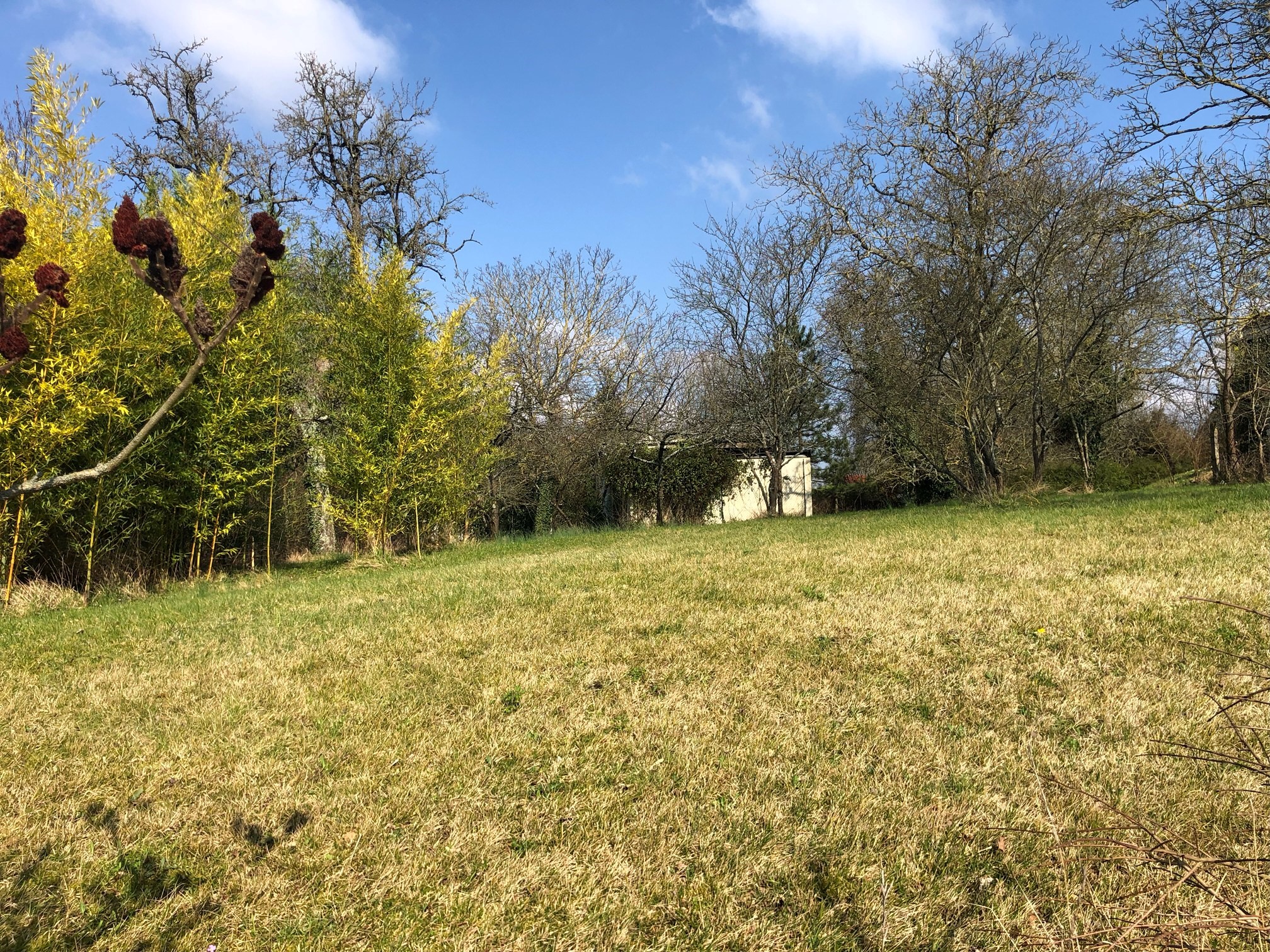 maison individuelle de 120m2 disponible à Montévrain