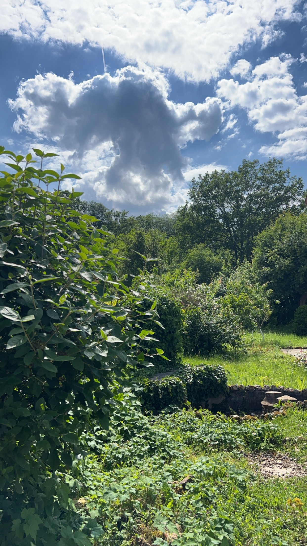 maison à construire de 105m2 disponible à Draveil (91210)