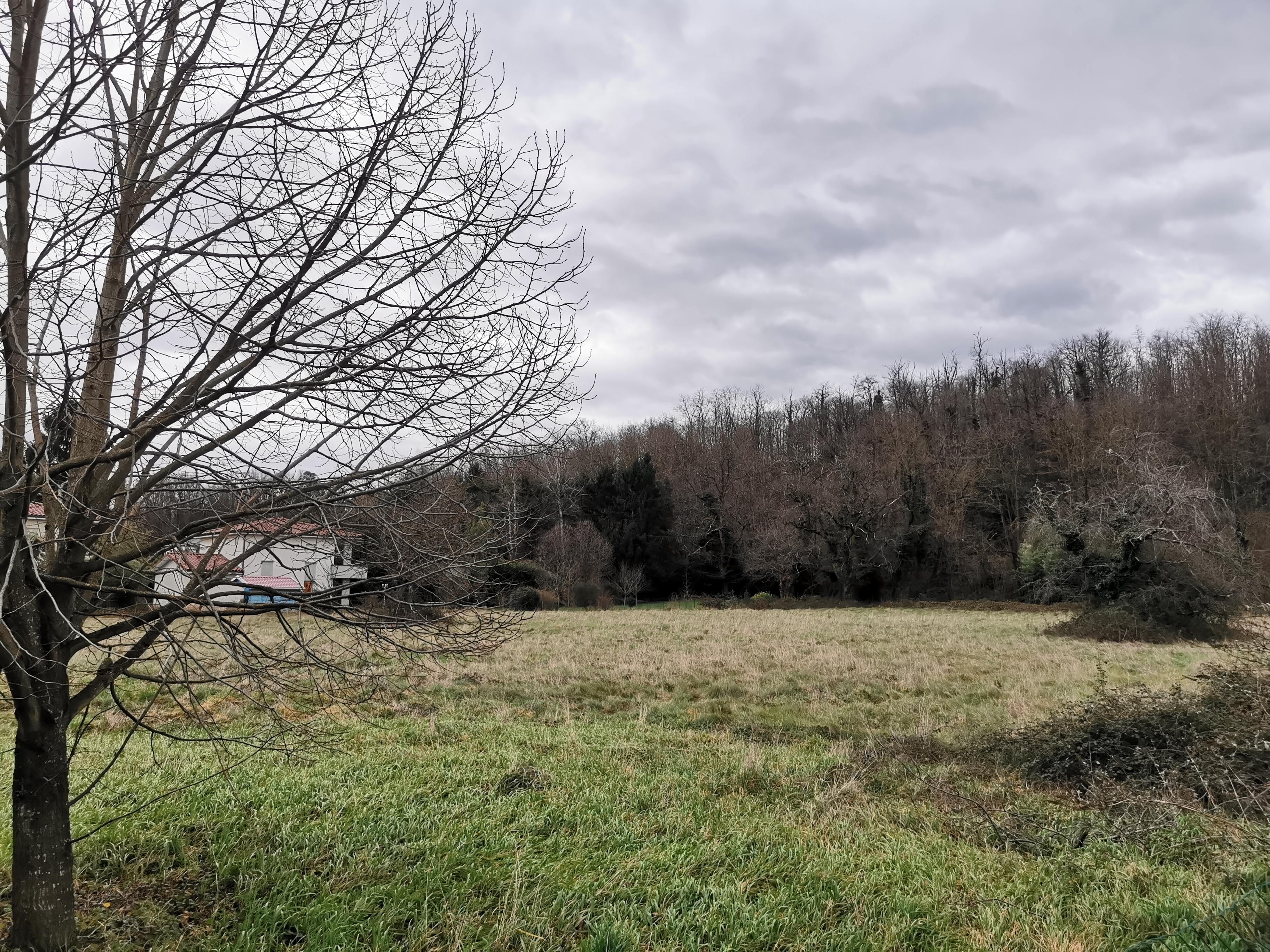 vente Terrain et Maison à construire Saint-Bonnet-de-Mure (69) 2